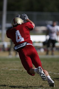 九游官网入口充值-NBA球队防守体系深度剖析，nba的防守强队